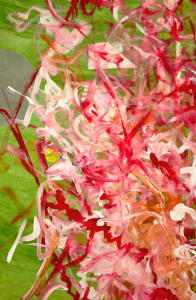 White, pink, and red brushstrokes on a green background