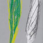 A pastel drawing of two feathers, one green with yellow, one white with black, on grey paper.