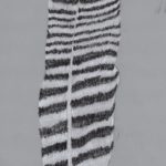 A black and white pastel drawing of a feather on a grey background.