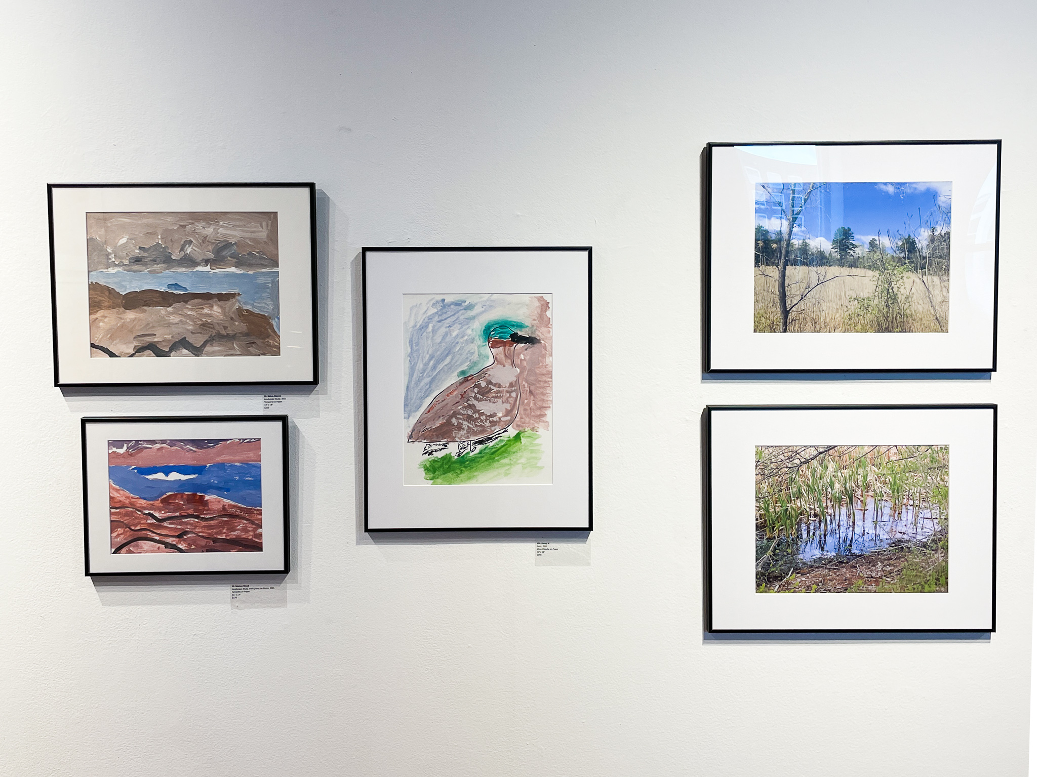 Gallery wall with paintings and photos of wildlife